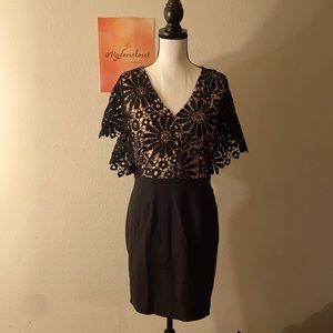 Sexy lace LBD